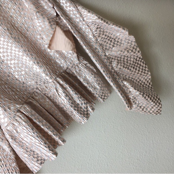 ZARA Metallic Top with Ruffles - Picture 6 of 8